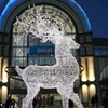 /product-detail/popular-outdoor-decoration-led-motif-light-3d-reindeer-62299094874.html