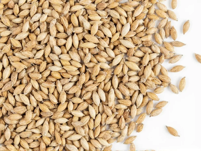 Caraway Seed Uses: Culinary & Health Applications