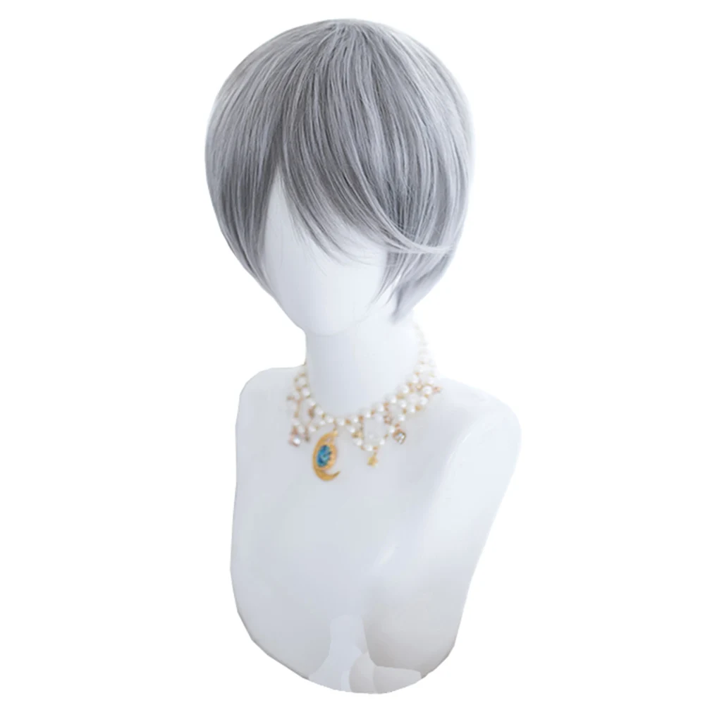 

Short Male Hair Wig Daily Makeup Party Synthetic Frost Gray Men Prince Cosplay 10 INCH Cool Japanese Wigs, Pic showed