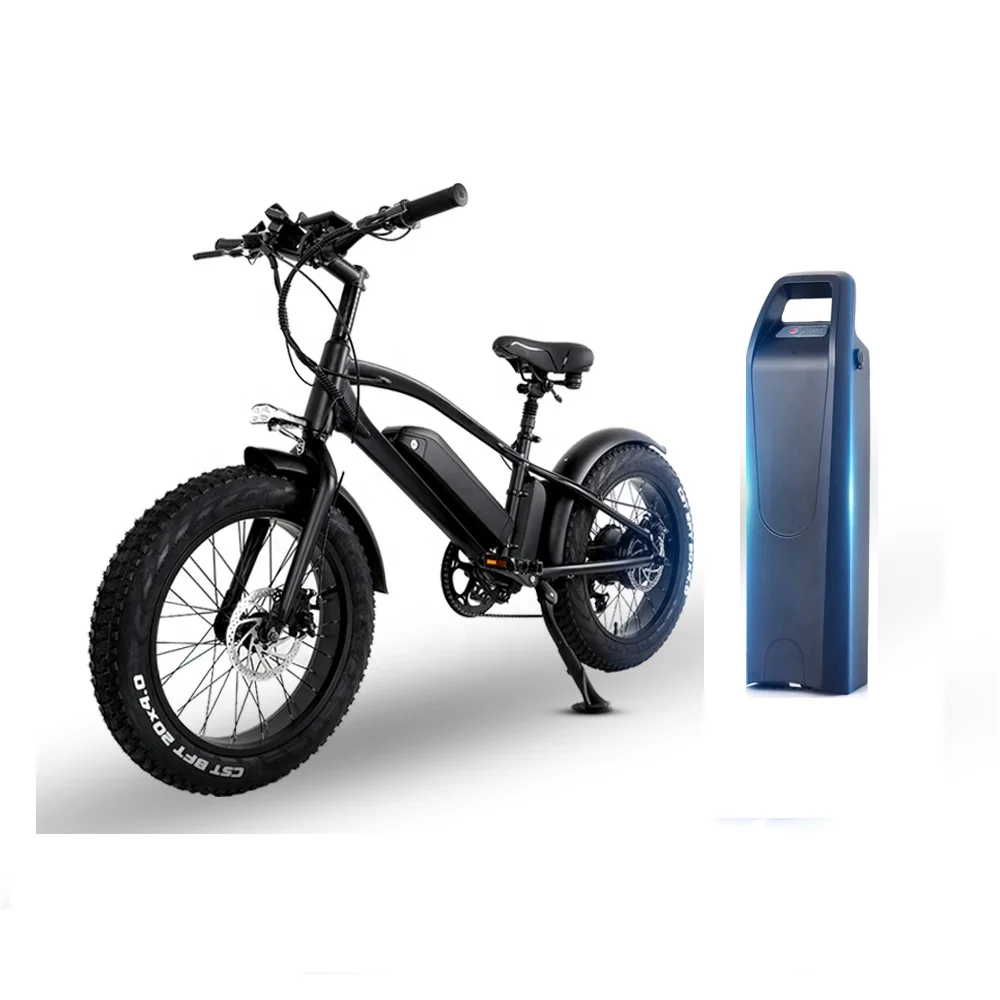 

2021 new upgrade 750W electric bicycle Smart electric bike EU stock fat bike for Adult, Black