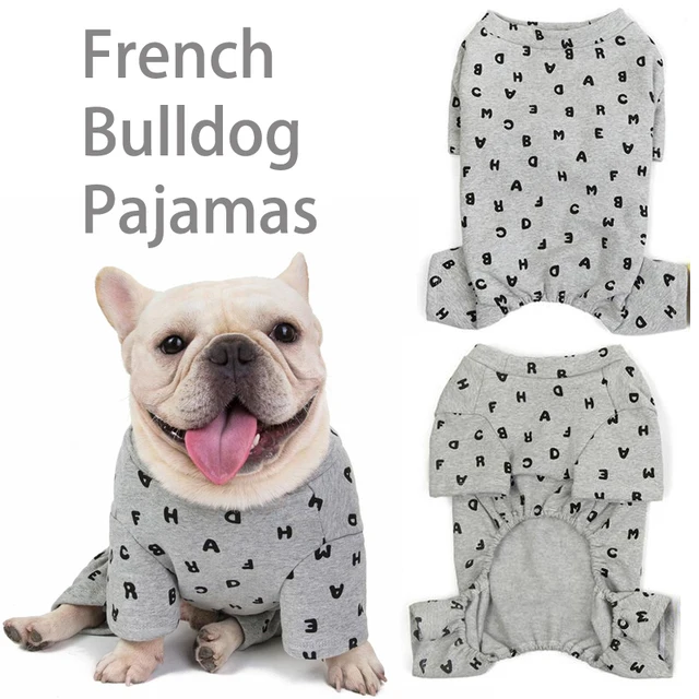 bulldog in pajamas