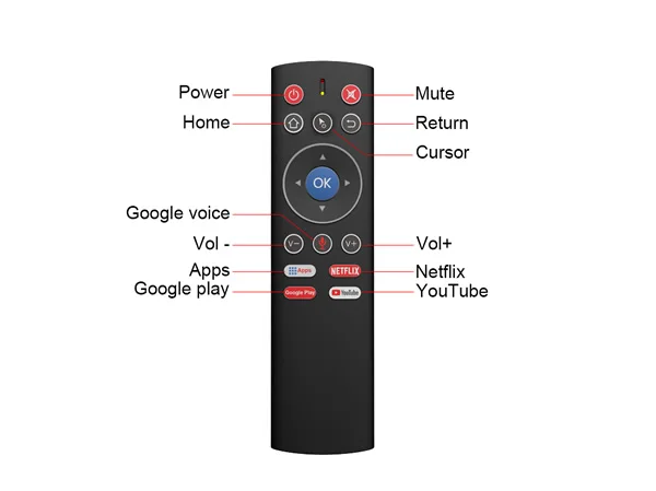 T1+ Bluetooth Remote (1).jpg