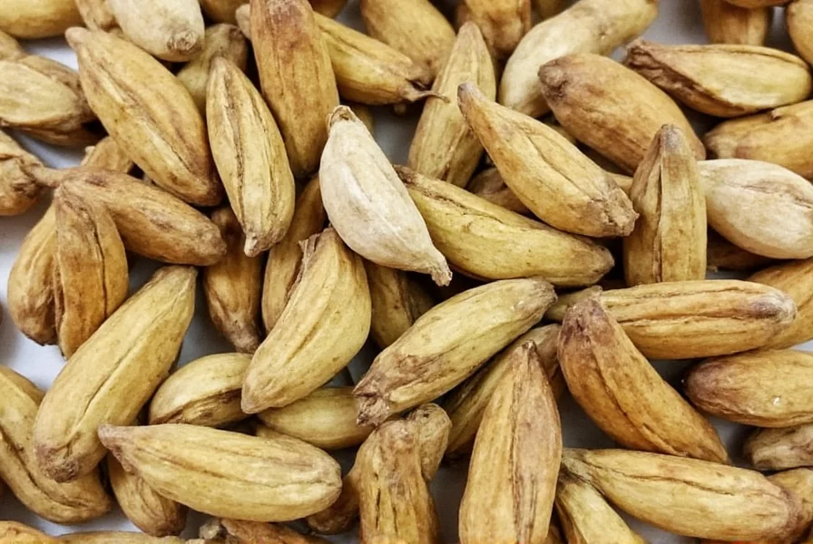 Proper storage containers for young cardamom zohran showing airtight glass jars with desiccant packets