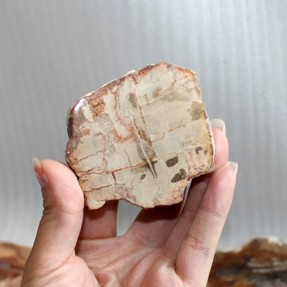 批发高品质抛光石英水晶木化石石英片