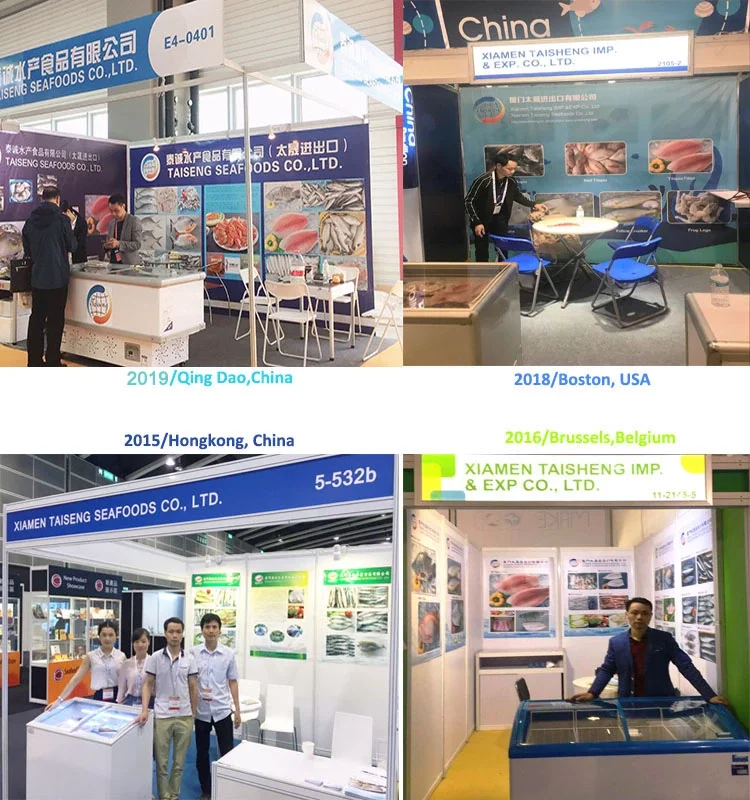 company information.png