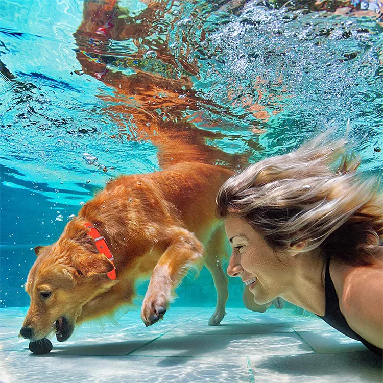 Waterproof Durable Pvc 5m 10m 15m Dog Training Robust Dog Lead