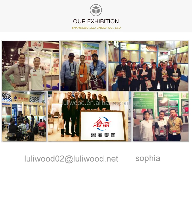 exhibition.webp