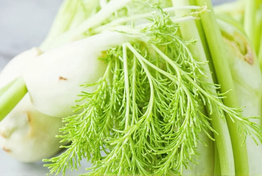 flavor of fennel