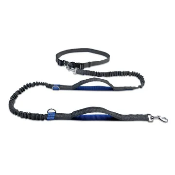 

Hand free reflective scalable custom modern dog collar and leash, Customized color