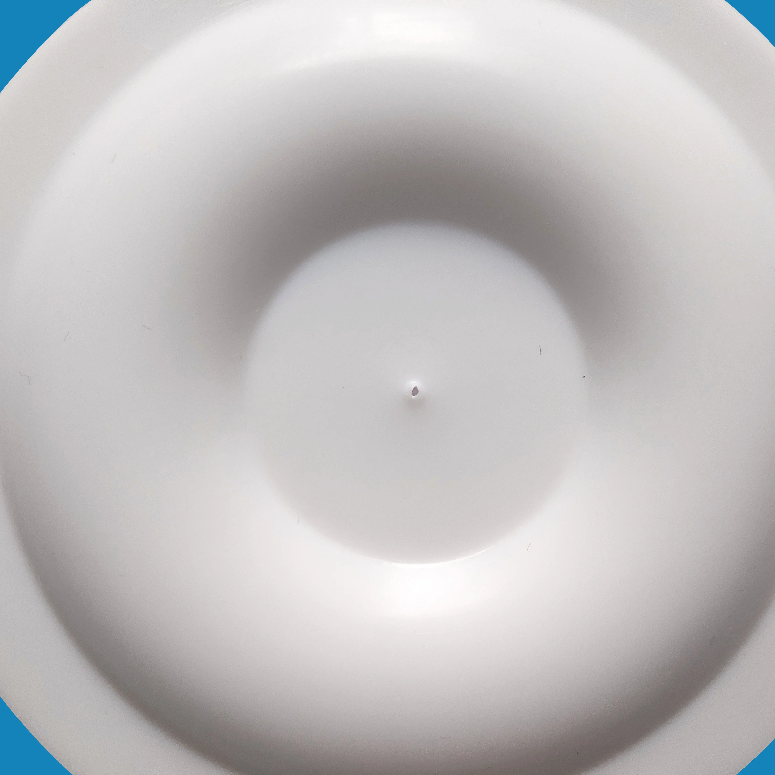 770933 PTFE diaphragm details