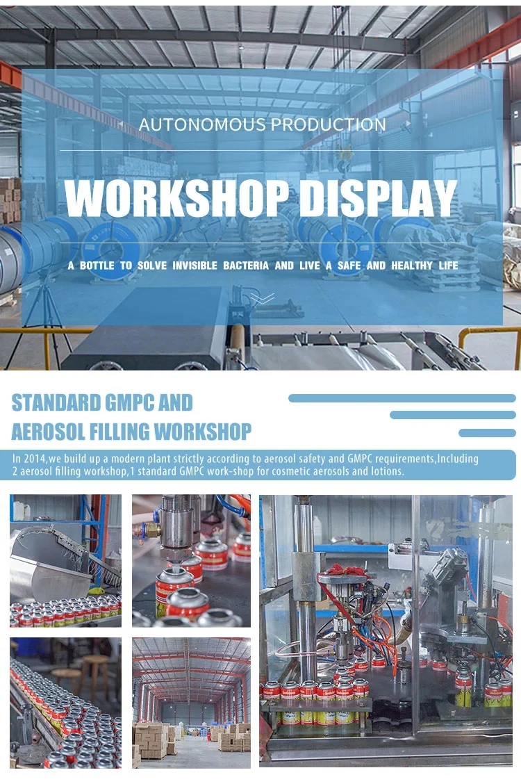 Manufacturer Easy On Spray Starch Aerosol Fabric Speed Laundry Starch