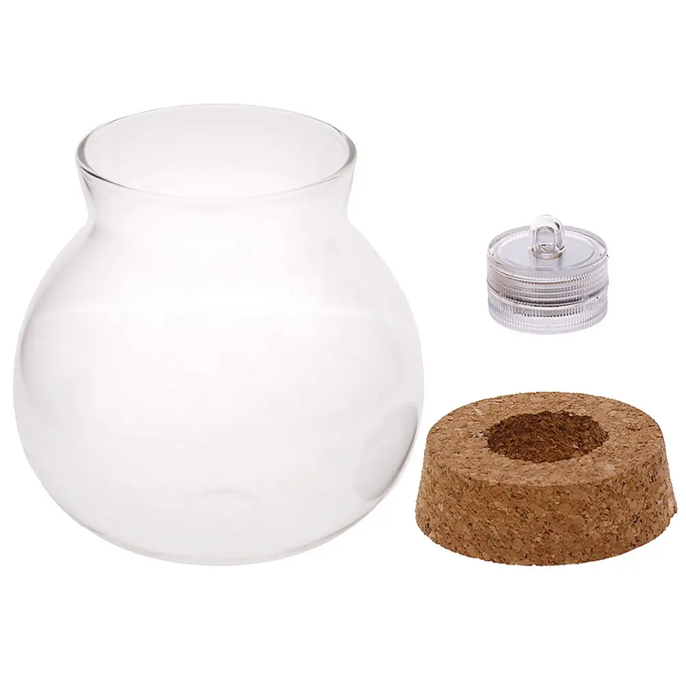 

Round Glass Jar Terrarium with Colorful LED Light Cork, Clear