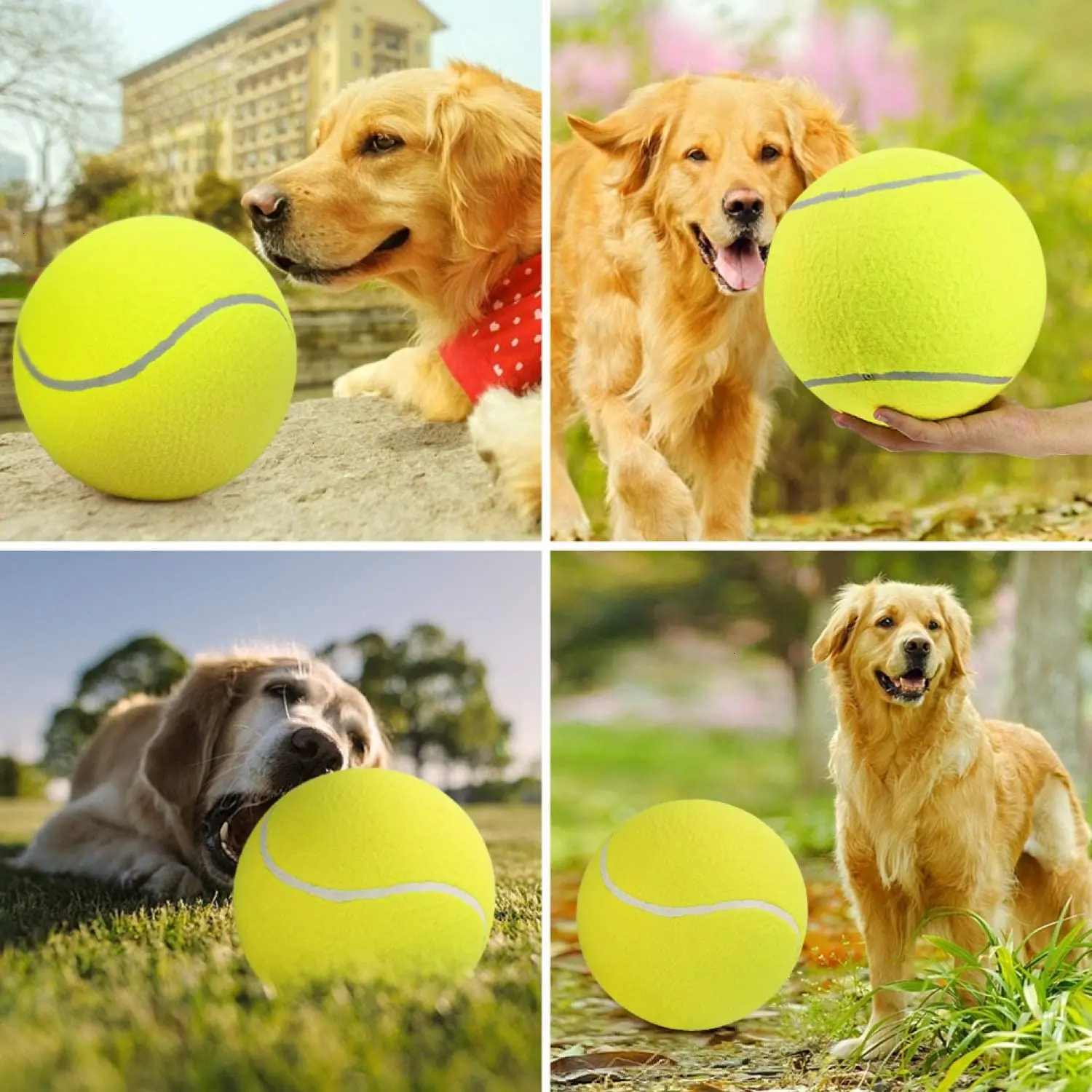 Pet sports. Теннисный мяч для собак. Большой теннисный мяч для собак. Пес с теннисными мячами. Мячик на веревке для собак.