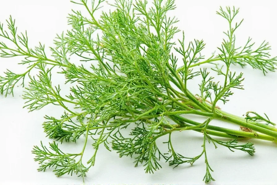 Chervil Buyer
