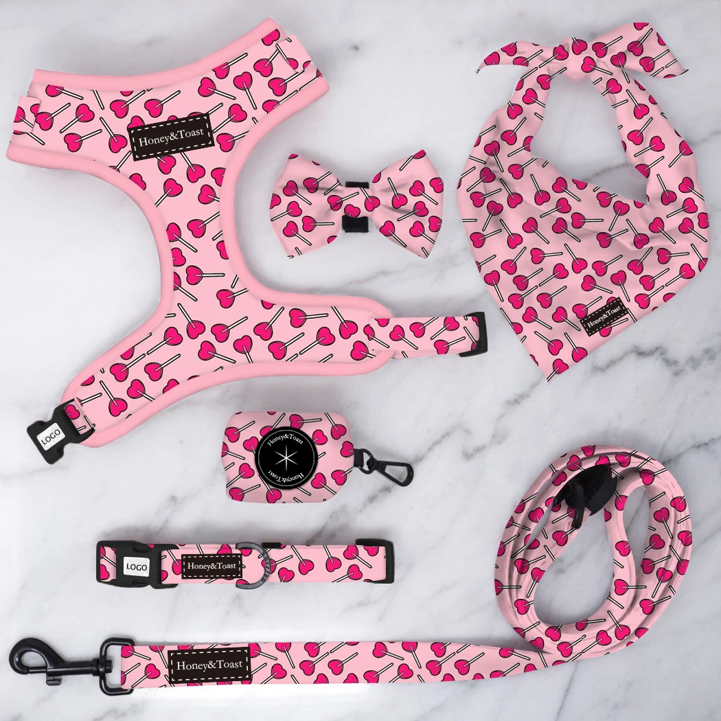 

Top Selling Custom Design Dog Harness Suit Bow Tie Collar Bandana and Leash Poop Bag Dispenser Dog Set, Custom color