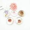 Private Label Natural Organic Soap Handmade Transparent Rose Soap Flower Essential Oil Bath Soap
