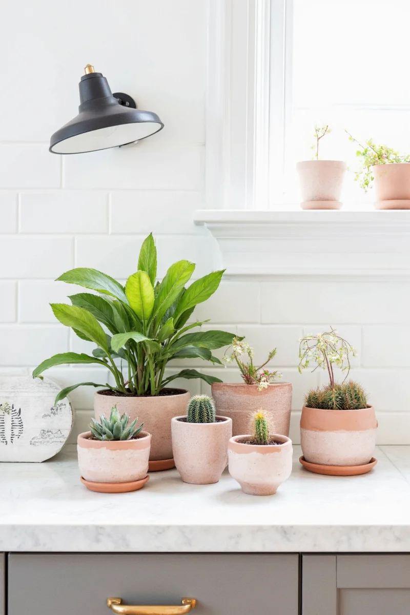 6 inch pots displayed on a floating shelf with children's books
