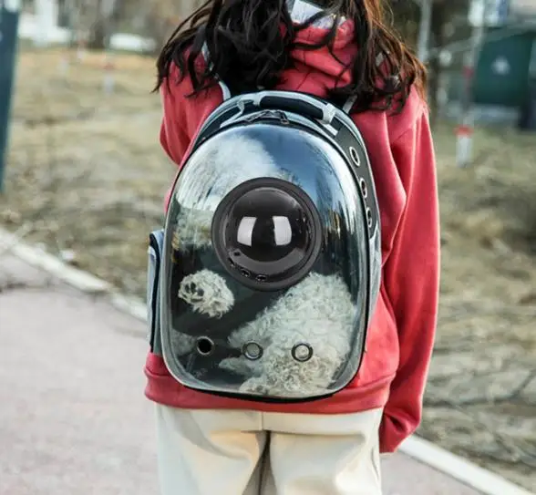 bubble cat carrier on wheels