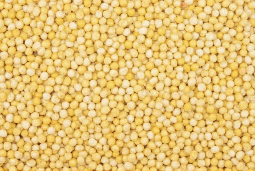 does fenugreek increase breast size