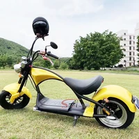 

Holland Warehouse EEC/COC Citycoco 3000W Homologation Electric Scooter With Removable Lithium Battery