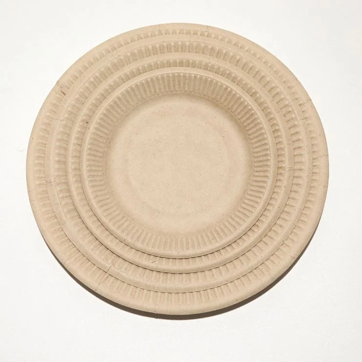 

Wholesale Disposable Biodegradable Kitchen Restaurant Sugarcane Bagasse Tableware Food Tray, White,unbleached