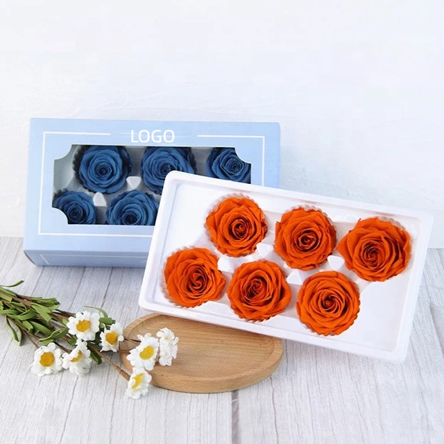 

Custom design preserved rose head Eternal rose flowers 6 PCS 6cm big rose heads preserved natural flowers for DIY flower bouquet