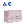 cheap price lipo 12 v battery solar cell 12v 100ah for rv/camper marine overland/van
