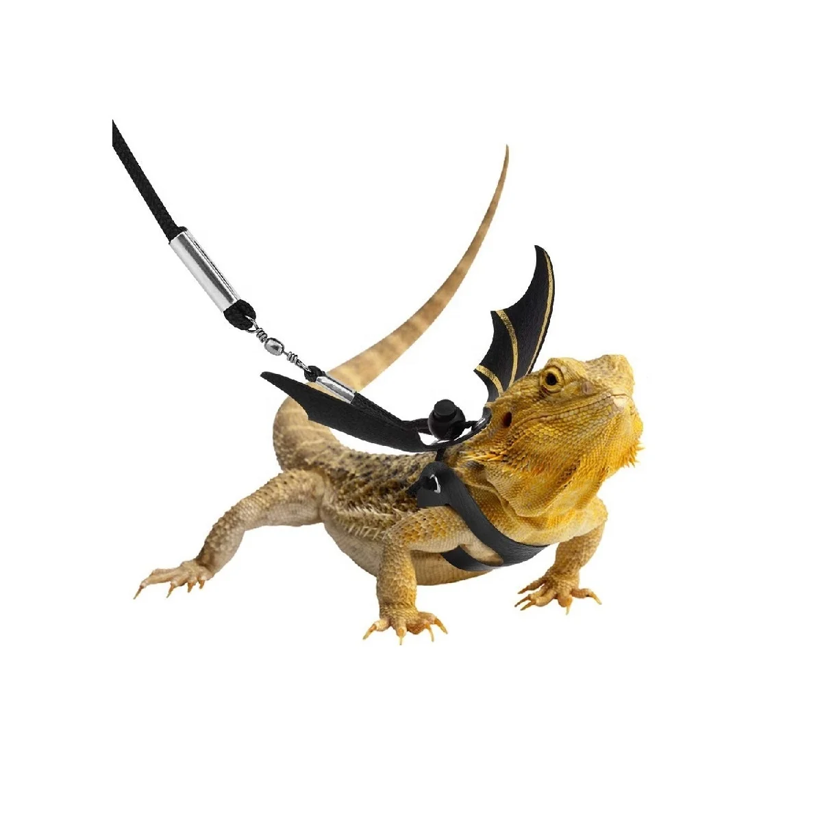 

New Design Adjustable Reptile Lizard Bearded Dragon Pet Harness Leash for Small Pet Animals
