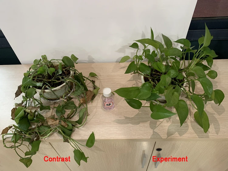 foliar fertilizer(6).jpg