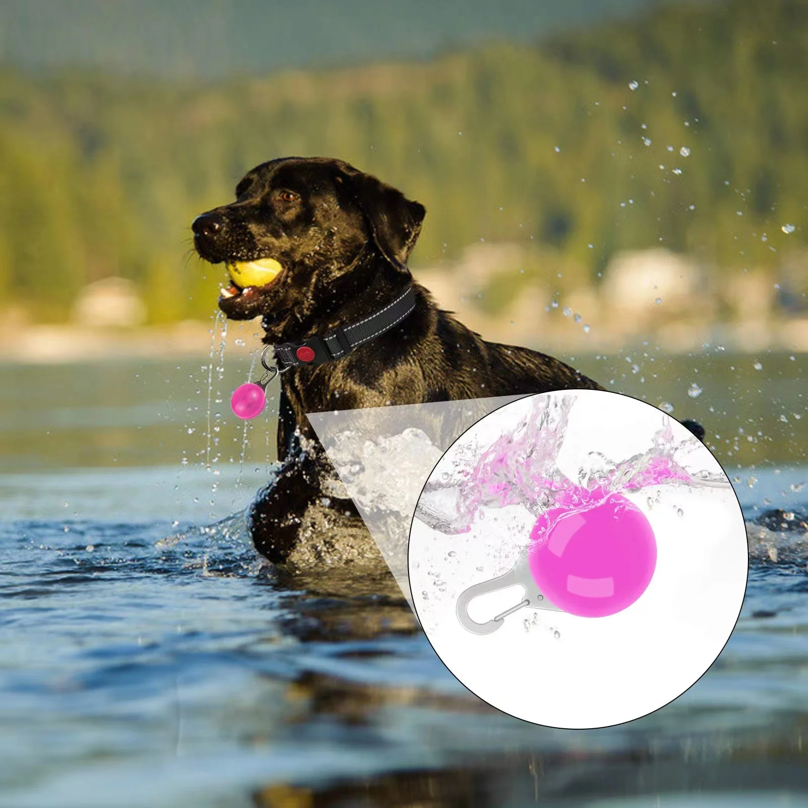 

Clip-on LED Collar Lights for Dogs Water Resistant Dog Collar Safety Light for Night Walking