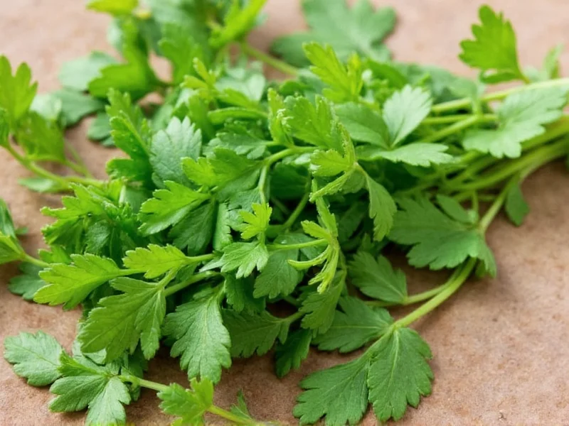 Best Substitutes for Coriander: Fresh & Dried Alternatives
