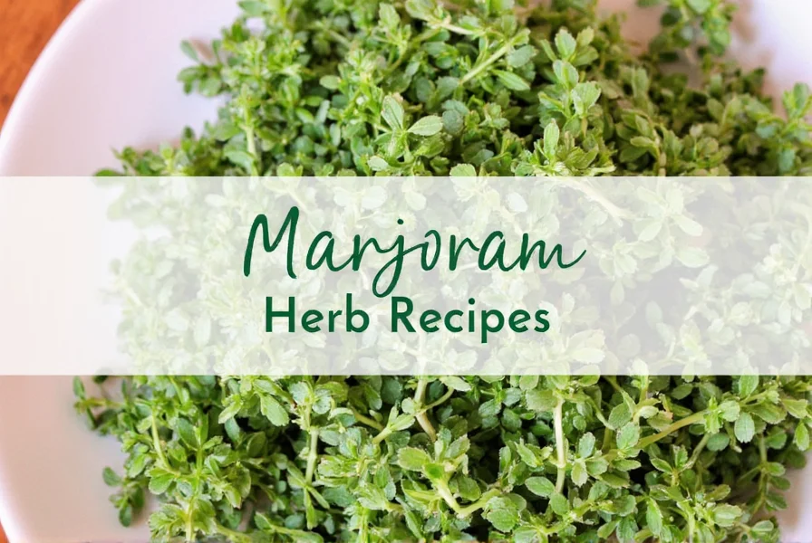 Marjoram Plant Close Up