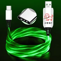 

Free sample type-c magnetic charging cable visible flow led light usb charging sync new design lighting cable