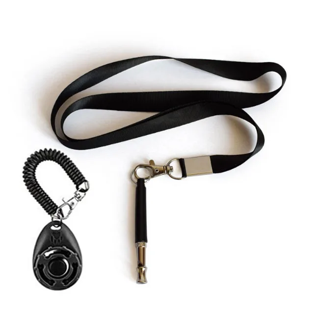 dog training products