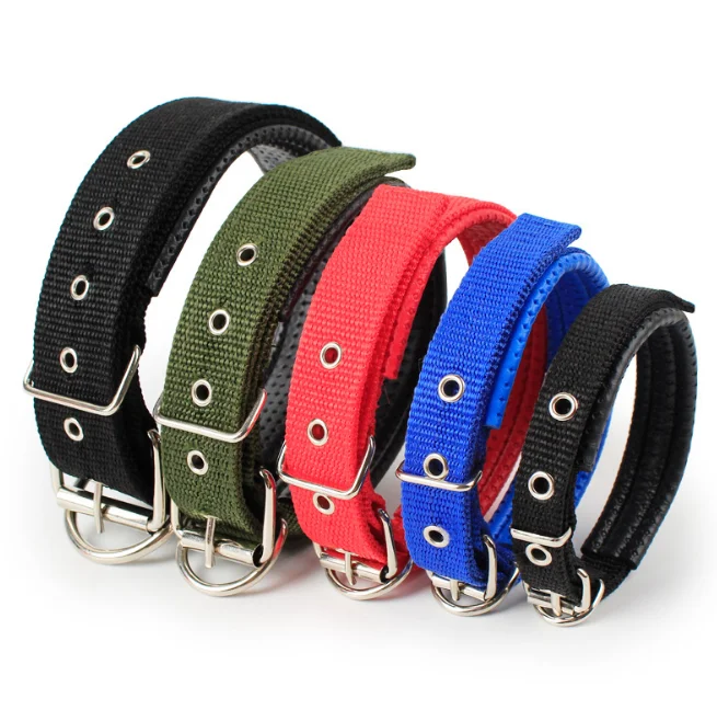 

Eco-friendly recycle new fashion design dog pet accessories in adjustable dog collars & dog leashes pet supply