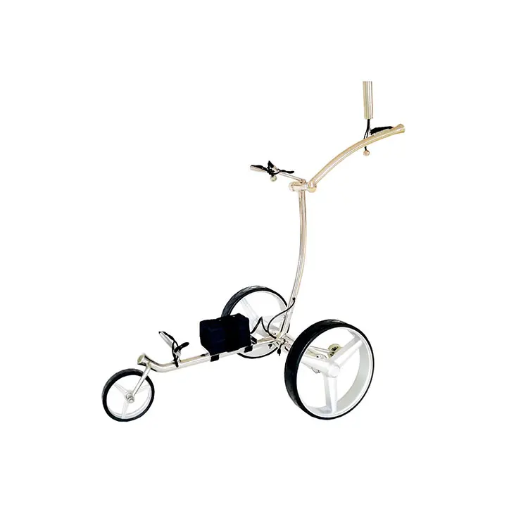 

3-Wheel Electric Golf Buggy with High Quality, Silver