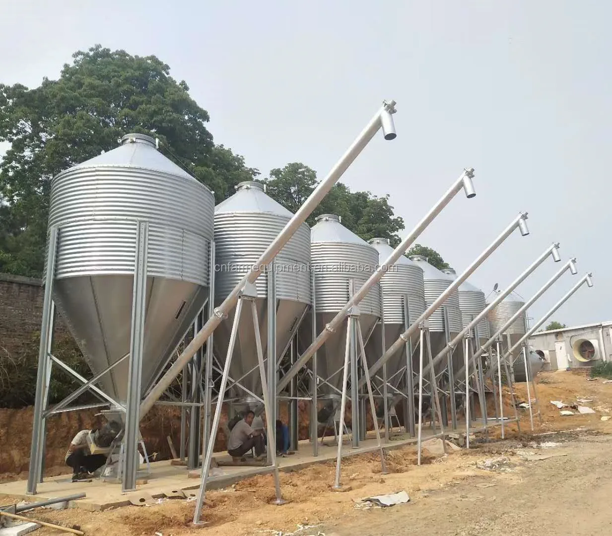 Galvanized Feed Hopper In Automatic Feeding System For Poultry Farm