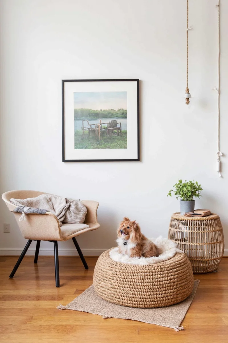 A cozy living room with dog-friendly furniture, a custom dog bed, and a decorative water station.