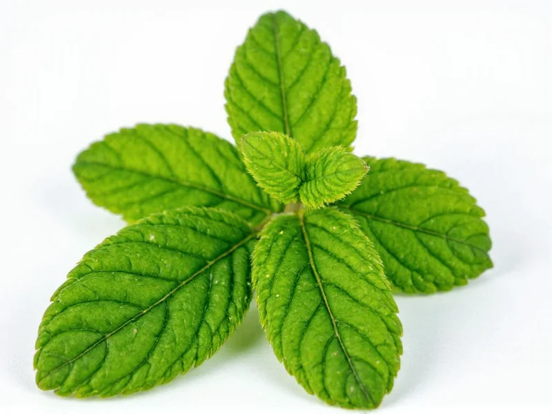 Best Oregano Substitutes: Marjoram & Top Alternatives