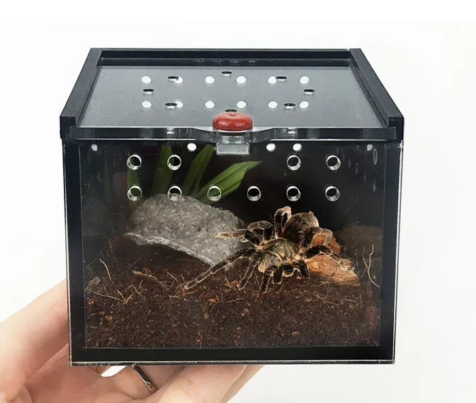 

Acrylic vterrarium reptile cage,pet cages carriers, Black