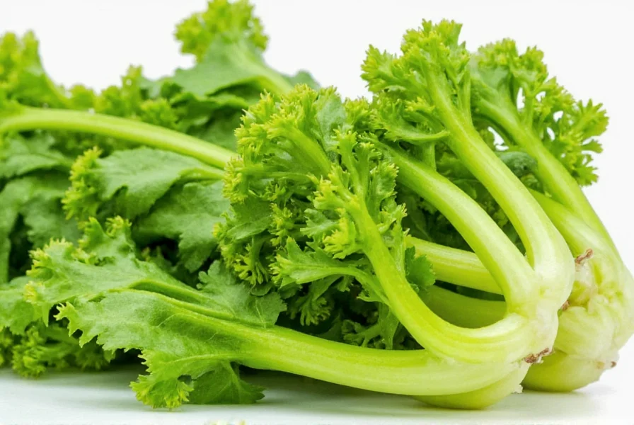 Celery Seeds Benefits: Science-Backed Health Advantages