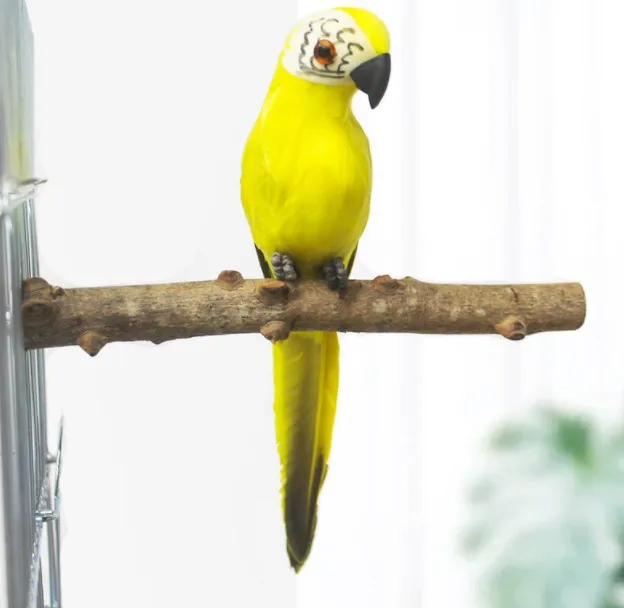 

Wholesale Sturdy Zanthoxylum Bungeanum Stand Stick Parrot Accessories Bird, Picture