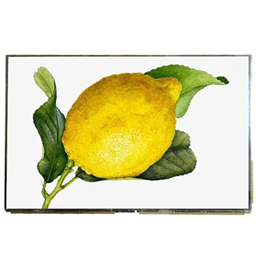 10.5 inch ips lcd screen.jpg