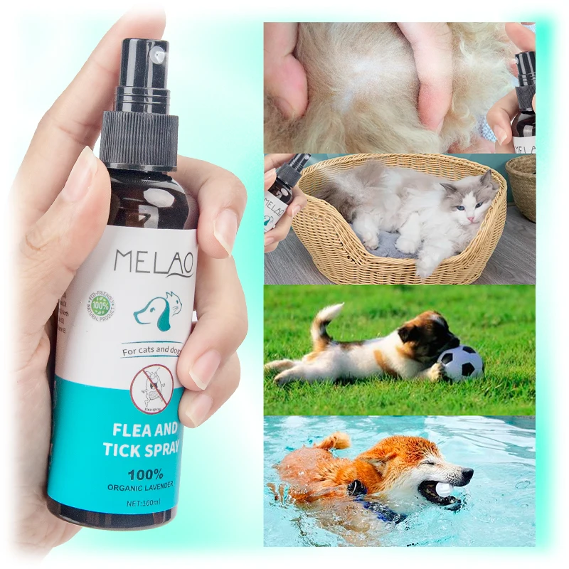 

Private label wholesale house hold Natural organic vegan flea spray and tick flea killer for puppy dogs and cat, Transparent