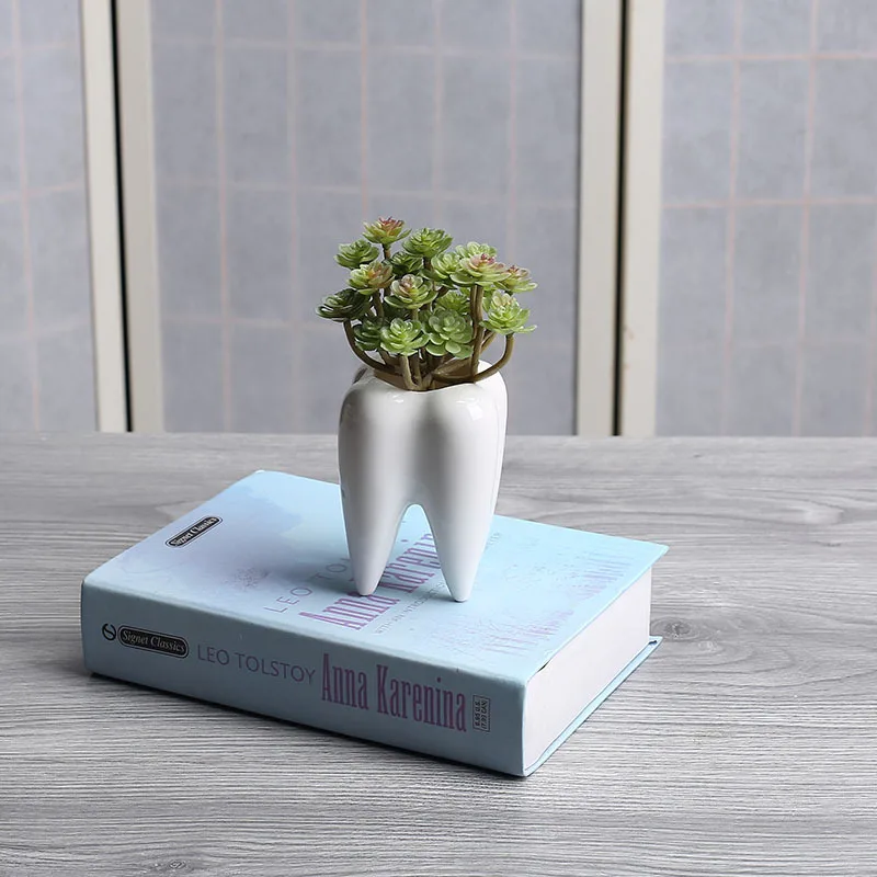 

Factory wholesale succulent potted ceramic flower pot tooth planter white ceramic succulent planter pots modern home decor