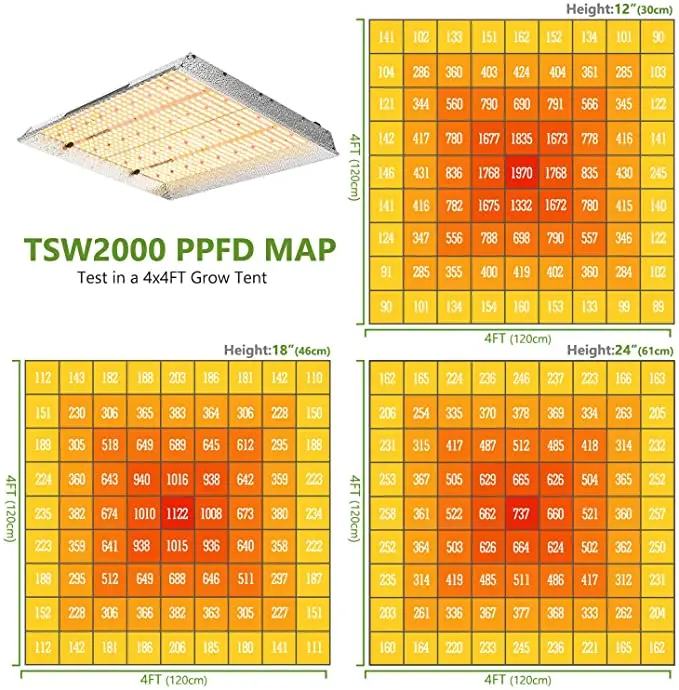 Direct Wholesale Custom Plant Lamp 300w  Spider Farmer Led Grow Light