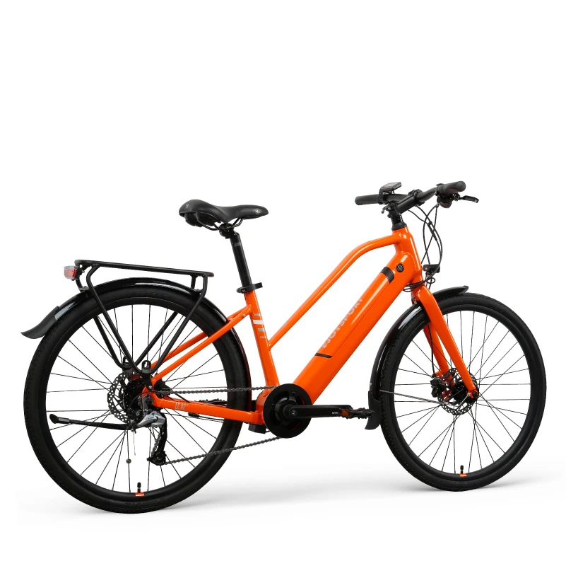 

LC02 250W electric bike bicycle electric motorbike fat tire electric bike