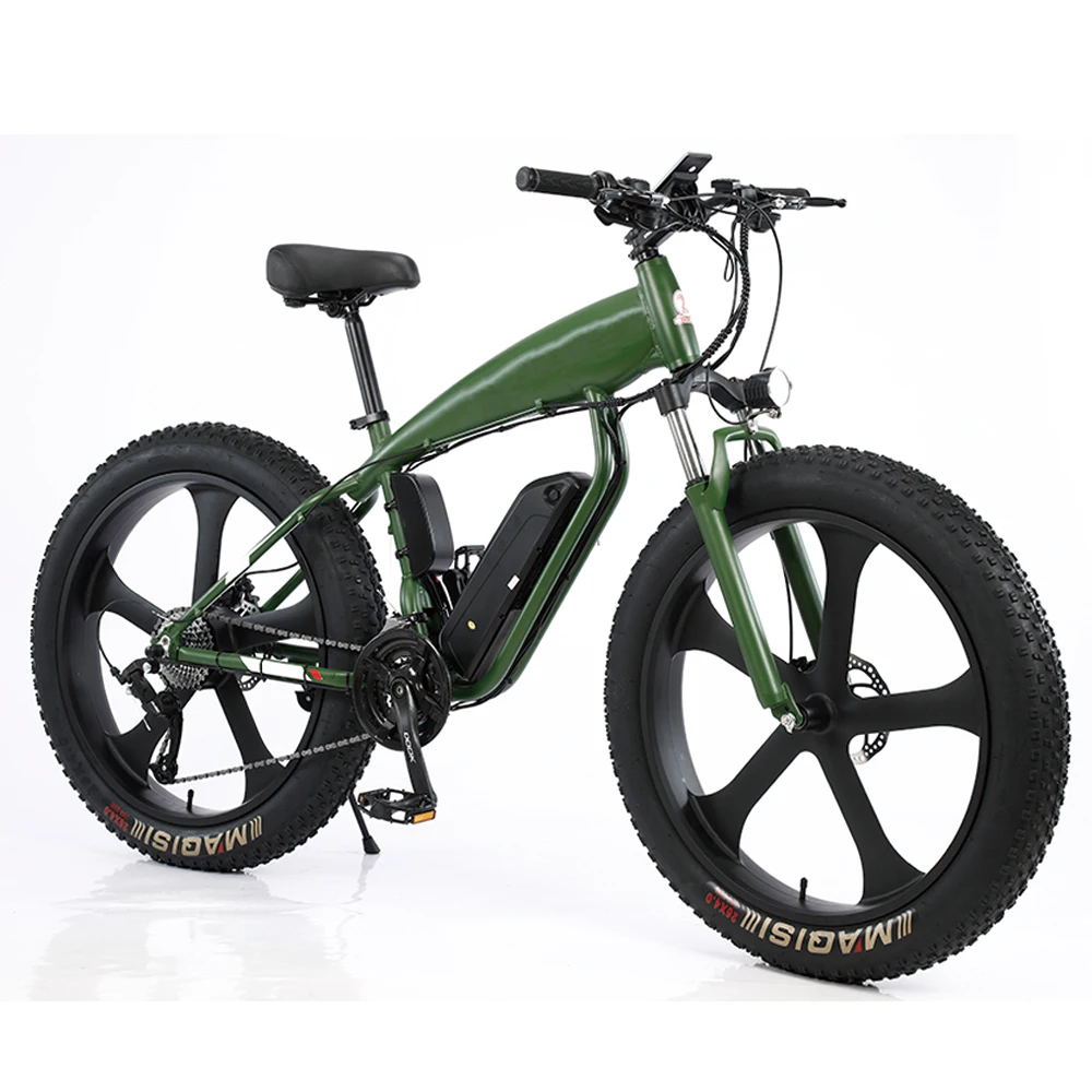 

New Special 10Ah 24 Speed Motor Lithium Electric Mountain Bike