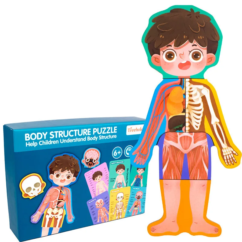 Children Wooden Body Structure Skeletal Muscle Puzzle Montessori Educational Learning Toys for Boys and Girls
