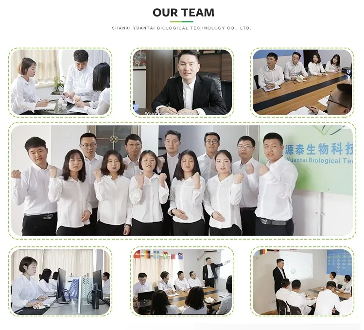 
high quality Medicine Grade Mandelic Acid powder CAS NO.:611-71-2 